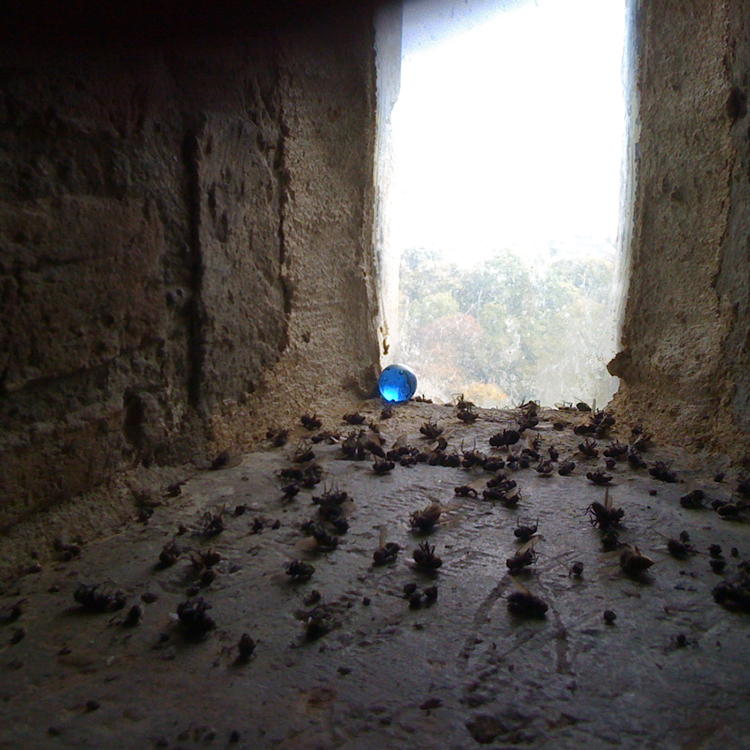 Lost our Marbles