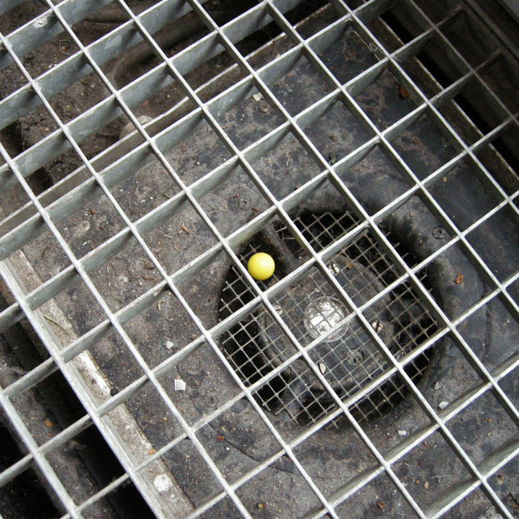 Lost our Marbles